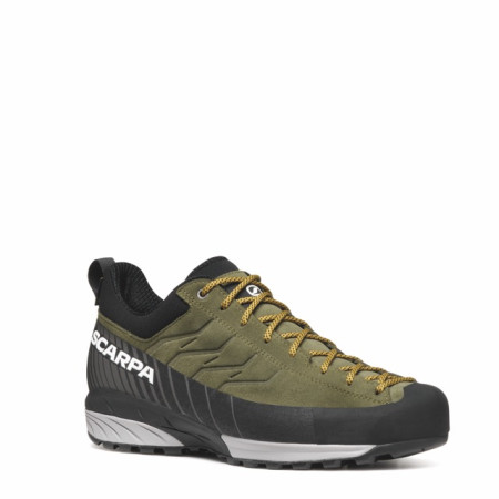 Pánské boty Scarpa Mescalito GTX
