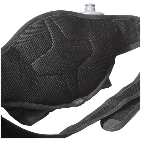 Ledvinka Salomon Cross Belt 2