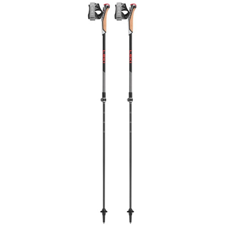 Nordic walking hole Leki Poles Instructor Lite