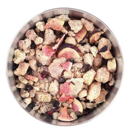 Dehydrované jídlo Lyo food Kokosová ovesná kaše s borůvkami