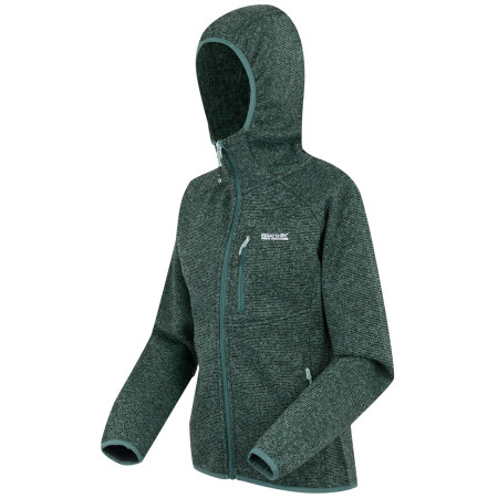 Dámská mikina Regatta Women’s Hooded Newhill