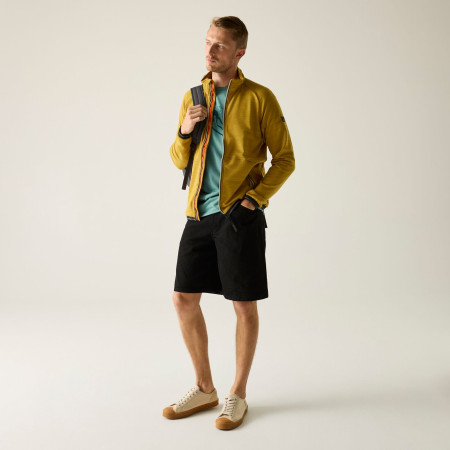 Pánská mikina Regatta Malton