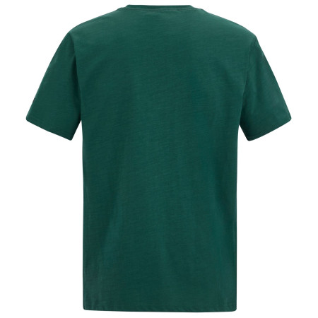 Pánské triko Regatta Rendro