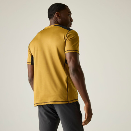 Pánské triko Regatta Virda