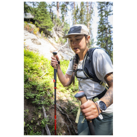Trekové hole Black Diamond Pursuit Carbon FLZ