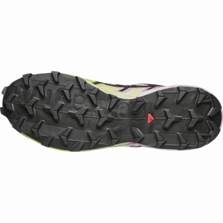 Dámské boty Salomon Speedcross 6 Gore-Tex