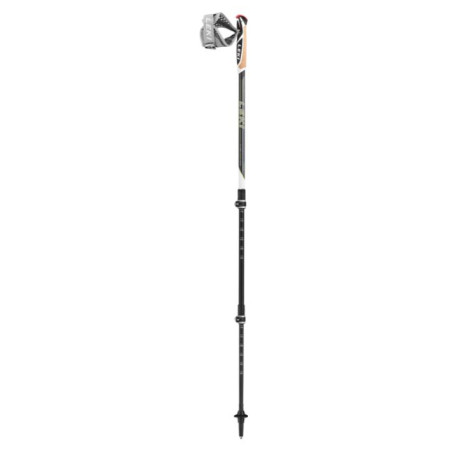 Nordic walking hole Leki Poles Traveller Carbon