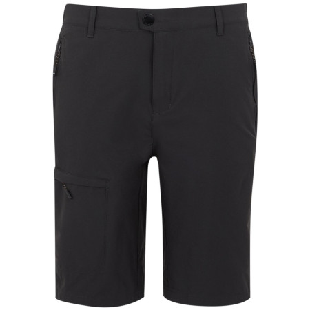 Pánské kraťasy Regatta Highton Shorts Long II