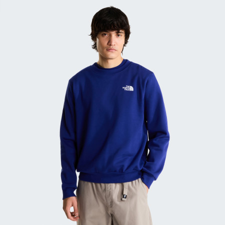 Pánská mikina The North Face M Evolution Box Nse Regular Crew
