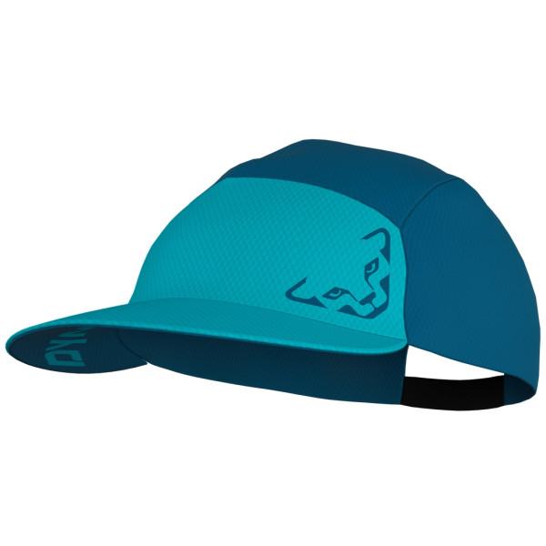 Kšiltovka Dynafit Alpine Visor Cap