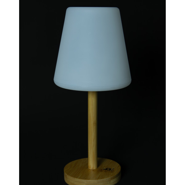 Lampa Bo-Camp Cambridge L