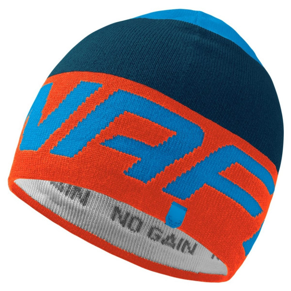 Čepice Dynafit Radical Beanie frost