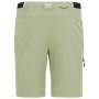Pánské kalhoty Regatta Anti-Insect Travel Light Z/O Trousers