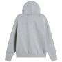 Pánská mikina The North Face M Evolution Simple Dome Regular Hoodie