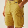 Pánské kraťasy Regatta Shorebay Shorts II