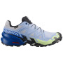 Pánské běžecké boty Salomon Speedcross 6 GTX Icon