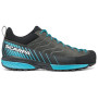 Pánské boty Scarpa Mescalito GTX