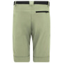 Pánské kraťasy Regatta Mountain Z/O Trousers