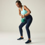 Dámské legíny Dare 2b Influential II Legging
