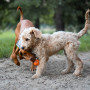 Hračka pro psa Explorer Dog AirBall