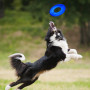 Hračka pro psa Nerf Dog Translucent TPR Tire Flyer 25 cm