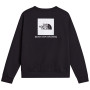 Pánská mikina The North Face M Evolution Box Nse Regular Crew