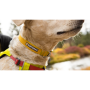 Obojek pro psa Ruffwear Hi & Light™ Collar