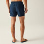 Pánské plavky Regatta Mawson Swim Shorts III