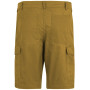 Pánské kraťasy Regatta Ruwan Shorts
