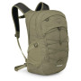 Barva: olive