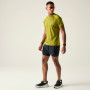 Pánské triko Dare 2b Accelerate Tee