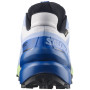 Pánské běžecké boty Salomon Speedcross 6 GTX Icon
