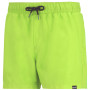 Pánské plavky Regatta Mawson Swim Shorts III