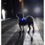 Světlo pro psa Curli Luumi Safety LED