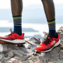 Pánské ponožky Darn Tough Stride Micro Crew Ultra-Lightweight