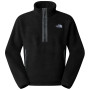Pánská mikina The North Face M Tnf Fleeski 1/4 Zip Po