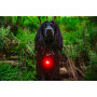 Svítící přívěšek Mountain Paws Dog Safety Light