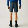 Pánské kraťasy Regatta Xert Stretch Shorts