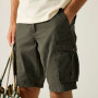 Pánské kraťasy Regatta Shorebay Shorts II
