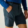 Pánské kraťasy Regatta Xert Stretch Shorts