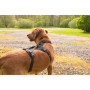 Postroj pro psa Mountain Paws 3-Strap Dog Harness