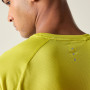 Pánské triko Dare 2b Accelerate Tee
