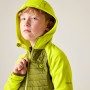 Dětská bunda Dare 2b Kids Switch Out Hybrid Frg/Gldncyp