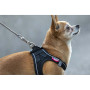 Vodítko na psa Curli Ultra Strong Pocket Leash