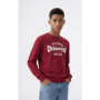 Dětská mikina Champion Crewneck Sweatshirt B GMS
