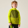 Dětská bunda Dare 2b Kids Switch Out Hybrid Frg/Gldncyp