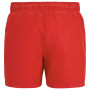 Pánské plavky Regatta Mawson Swim Shorts III