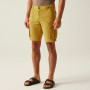 Pánské kraťasy Regatta Shorebay Shorts II