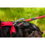 Vodítko na psa Mountain Paws Rope Dog Lead