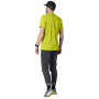 Pánské triko Dynafit Graphic Co M S/S Tee